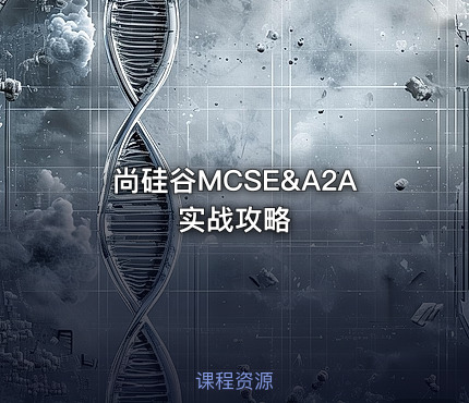 尚硅谷MCSE&A2A实战攻略