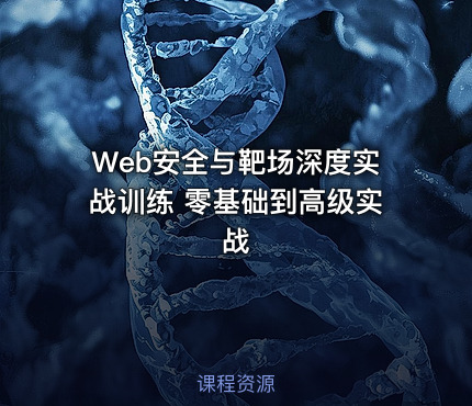 Web安全与靶场深度实战训练 零基础到高级实战