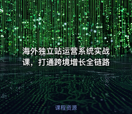 海外独立站运营系统实战课，打通跨境增长全链路