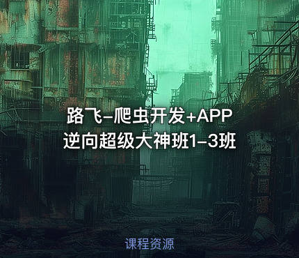 路飞-爬虫开发+APP逆向超级大神班1-3班