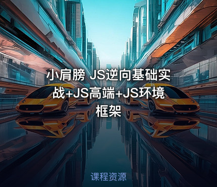 小肩膀 JS逆向基础实战+JS高端+JS环境框架