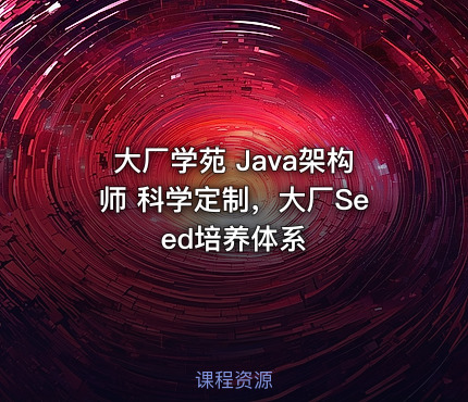 大厂学苑 Java架构师 科学定制，大厂Seed培养体系