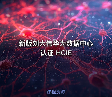新版刘大伟华为数据中心认证 HCIE