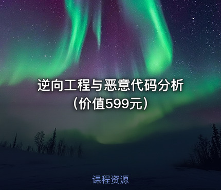 逆向工程与恶意代码分析（价值599元）