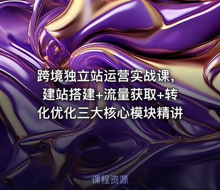 跨境独立站运营实战课，建站搭建+流量获取+转化优化三大核心模块精讲