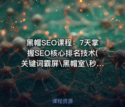黑帽SEO课程：7天掌握SEO核心排名技术(关键词霸屏\黑帽室\秒排策略\整站优化) 实战课