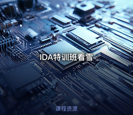 IDA特训班看雪