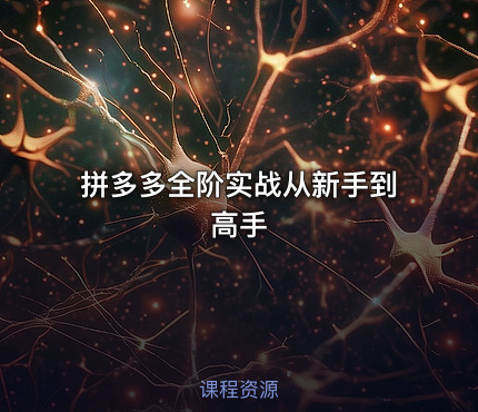 拼多多全阶实战从新手到高手
