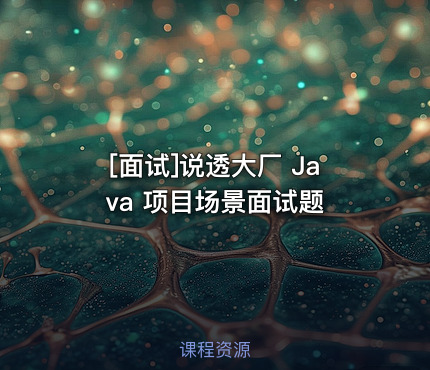 说透大厂 Java 项目场景面试题