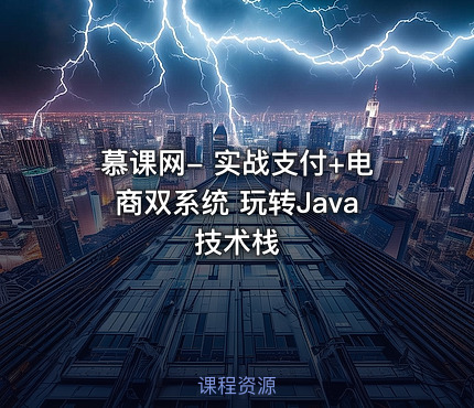 慕课网- 实战支付+电商双系统 玩转Java技术栈