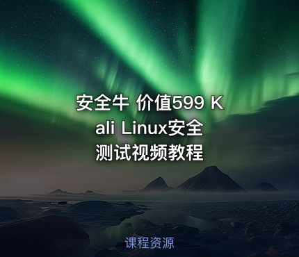 安全牛 价值599 Kali Linux安全测试视频教程