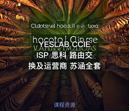 YESLAB CCIE ISP 思科 路由交换及运营商 苏涵全套