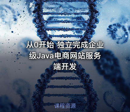 从0开始 独立完成企业级Java电商网站服务端开发