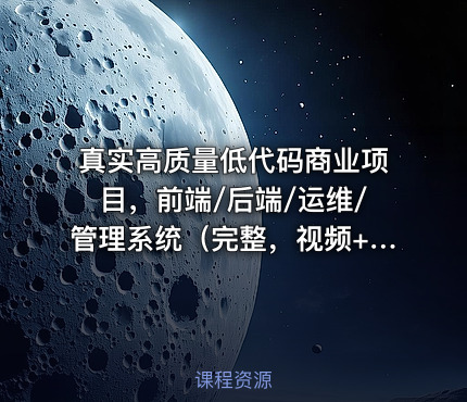 真实高质量低代码商业项目，前端/后端/运维/管理系统（完整，视频+代码+电子书）