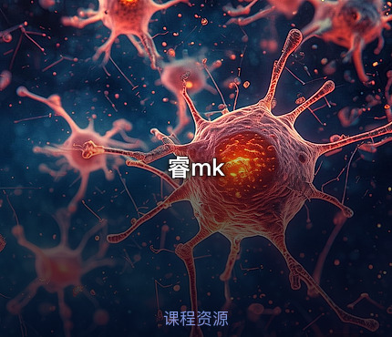 睿mk