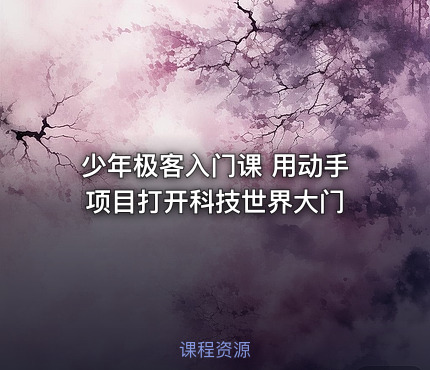 少年极客入门课 用动手项目打开科技世界大门
