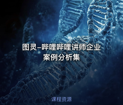 图灵-哔哩哔哩讲师企业案例分析集
