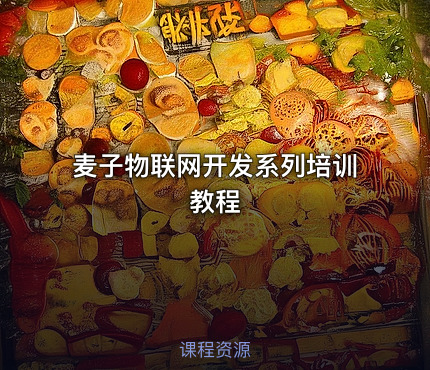 麦子物联网开发系列培训教程