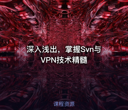 深入浅出，掌握Svn与VPN技术精髓