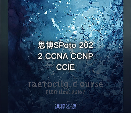 思博SPoto 2022 CCNA CCNP CCIE