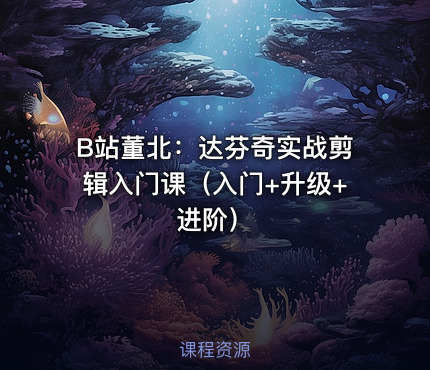 B站董北：达芬奇实战剪辑入门课（入门+升级+进阶）