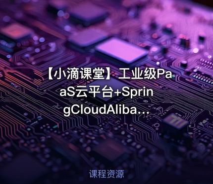 【小滴课堂】工业级PaaS云平台+SpringCloudAlibaba综合项目实战