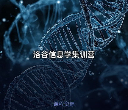 洛谷信息学集训营