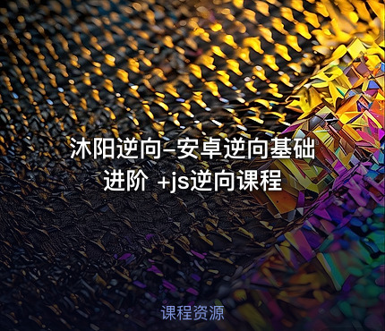 沐阳逆向-安卓逆向基础进阶 +js逆向课程