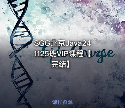 SGG北京Java241125班VIP课程【完结】