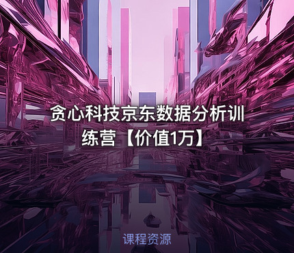 贪心科技京东数据分析训练营【价值1万】