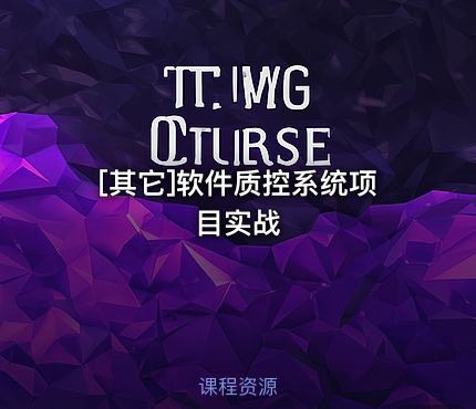 软件质控系统项目实战