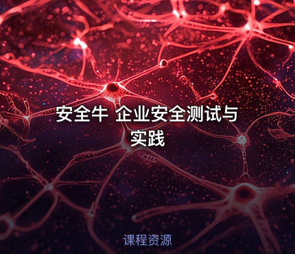 安全牛 企业安全测试与实践
