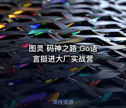 图灵 码神之路 Go语言挺进大厂实战营