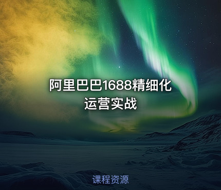 阿里巴巴1688精细化运营实战