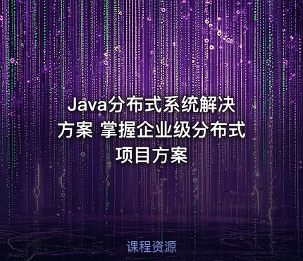 Java分布式系统解决方案 掌握企业级分布式项目方案