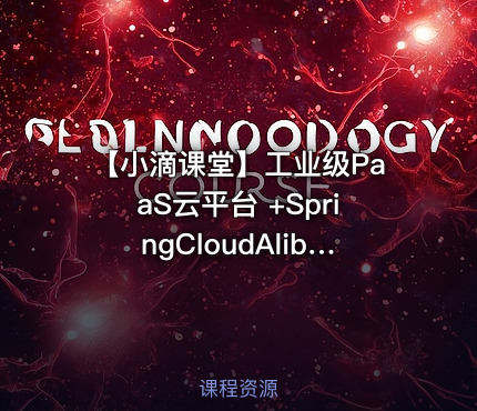 【小滴课堂】工业级PaaS云平台 +SpringCloudAlibaba综合项目实战