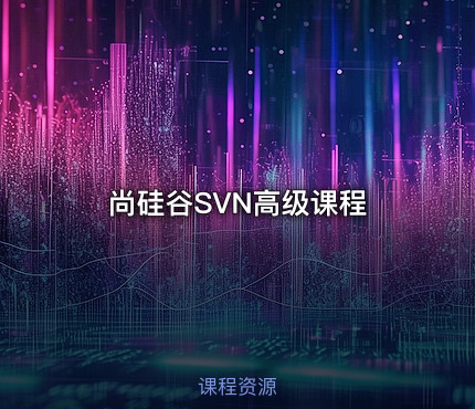 尚硅谷SVN高级课程