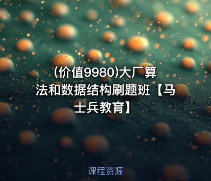 (价值9980)大厂算法和数据结构刷题班【马士兵教育】