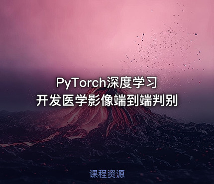 PyTorch深度学习开发医学影像端到端判别