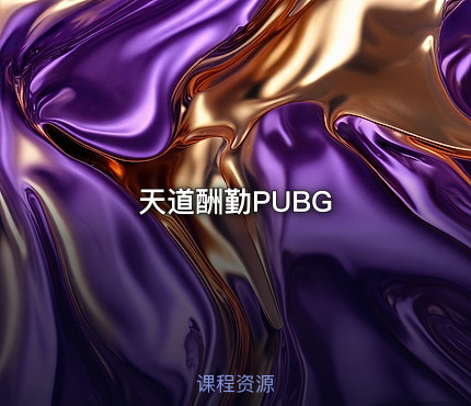 天道酬勤PUBG