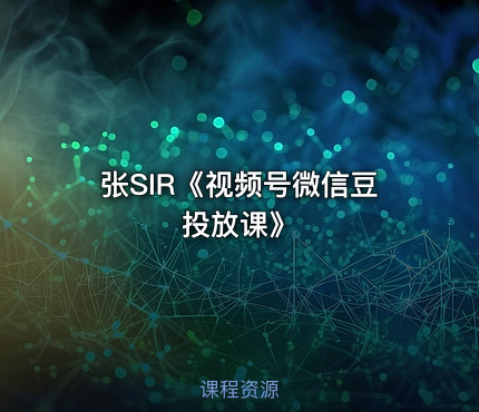 张SIR《视频号微信豆投放课》