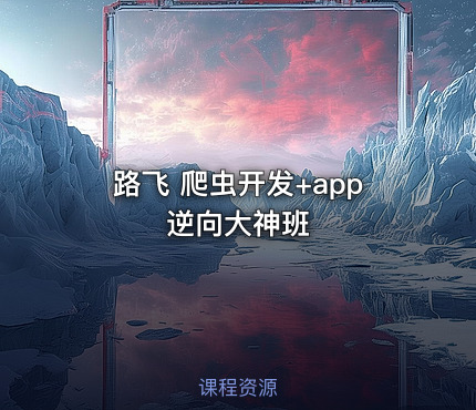 路飞 爬虫开发+app逆向大神班