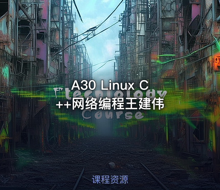A30 Linux C++网络编程王建伟