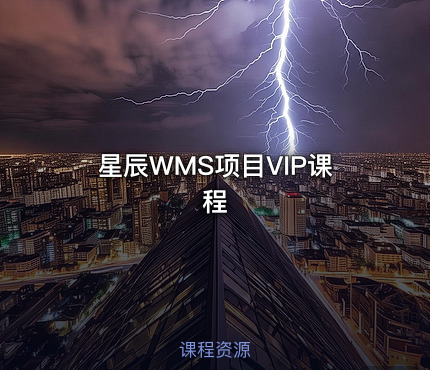 星辰WMS项目VIP课程