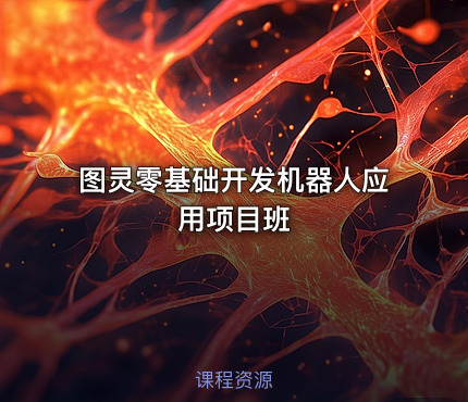 图灵零基础开发机器人应用项目班