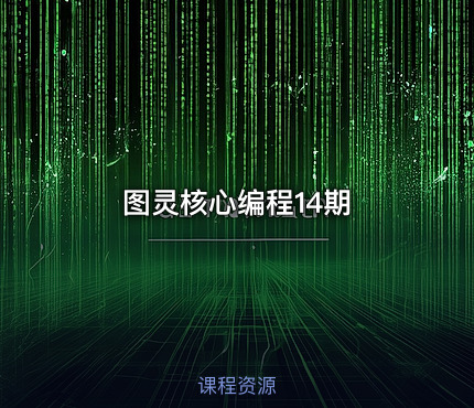 图灵核心编程14期