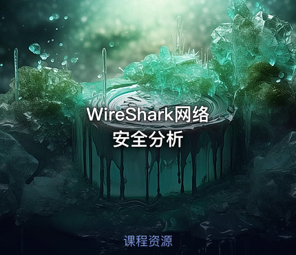 WireShark网络安全分析