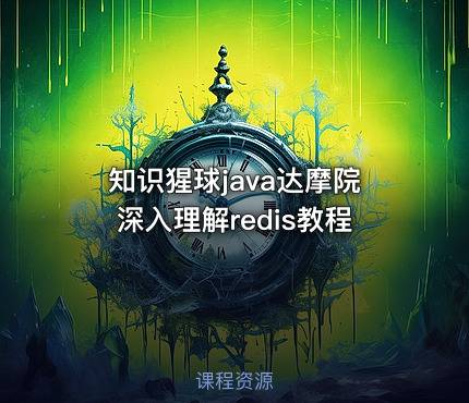 知识猩球java达摩院深入理解redis教程