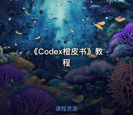 《Codex橙皮书》教程