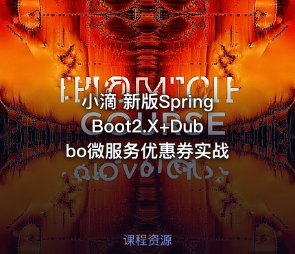 小滴 新版SpringBoot2.X+Dubbo微服务优惠券实战